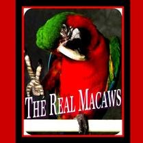 The Real Macaws